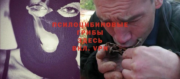 экстази Арсеньев
