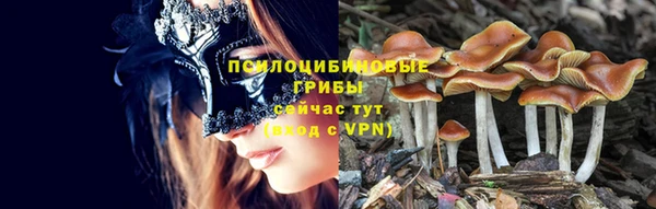 молекула духа Армянск
