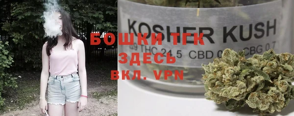 экстази Арсеньев