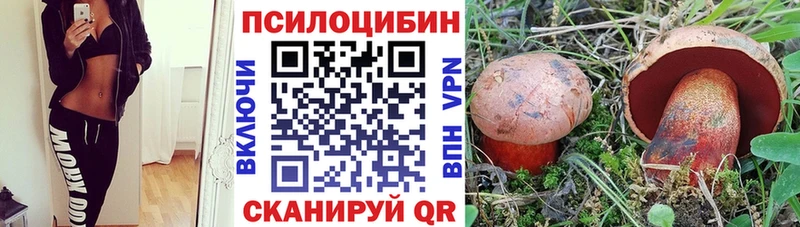 Галлюциногенные грибы Cubensis  магазин  наркотиков  Курган 