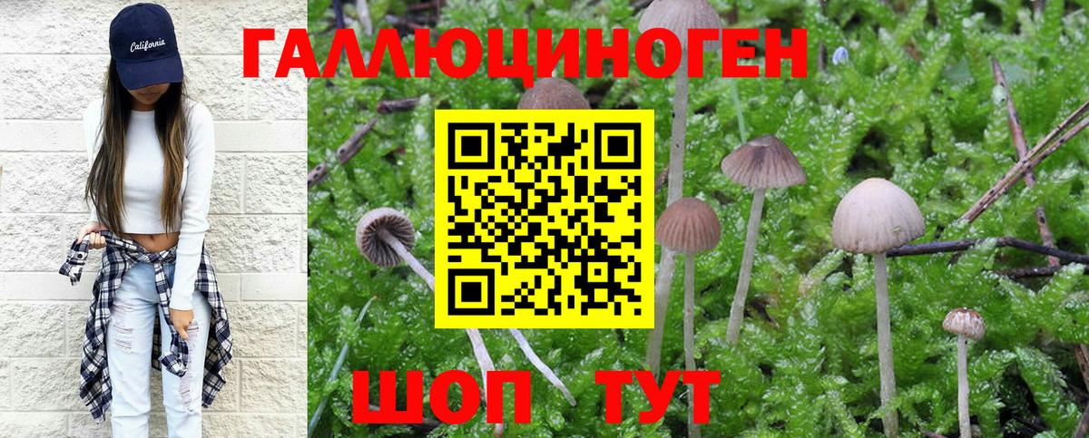 Курган  Галлюциногенные грибы MAGIC MUSHROOMS  Псилоцибиновые грибы прущие грибы  Вход с VPN 