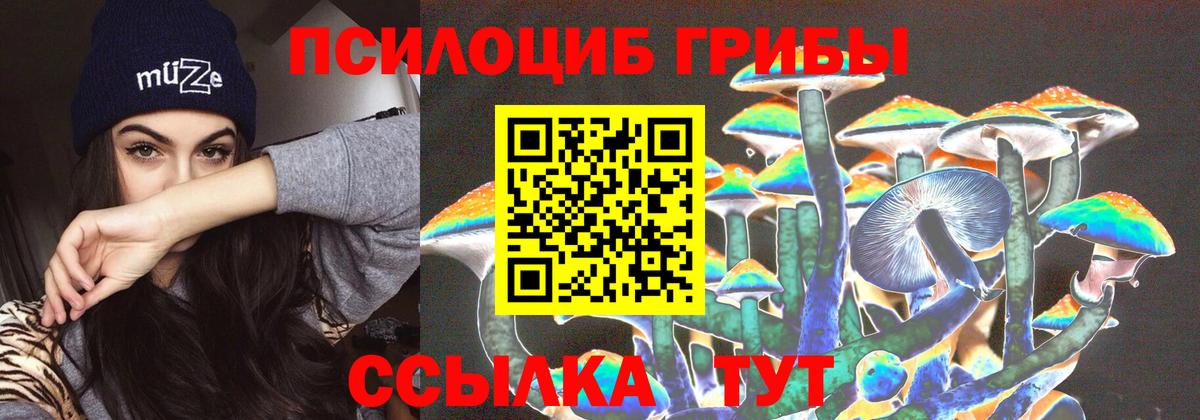 Псилоцибиновые грибы прущие грибы Курган