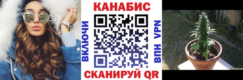 Конопля сатива  цена наркотик  ОМГ ОМГ зеркало  Курган 